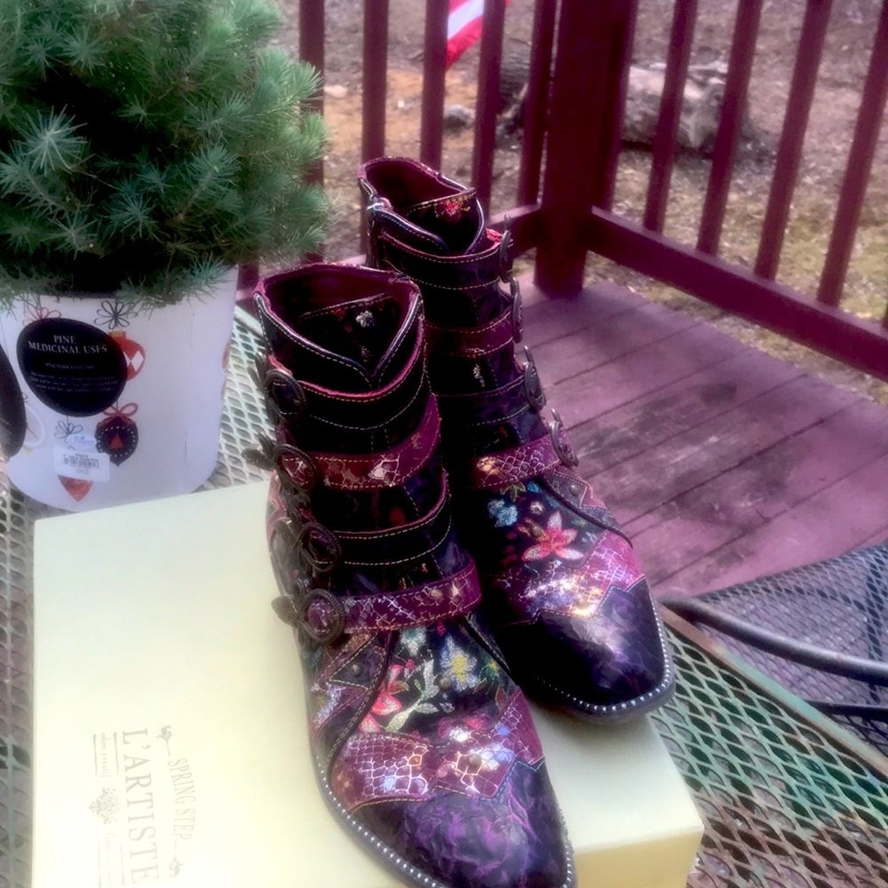 Beautiful imported cowboy boots flashy
